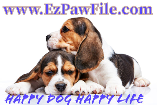 Ez Paw Nail File for dogs
